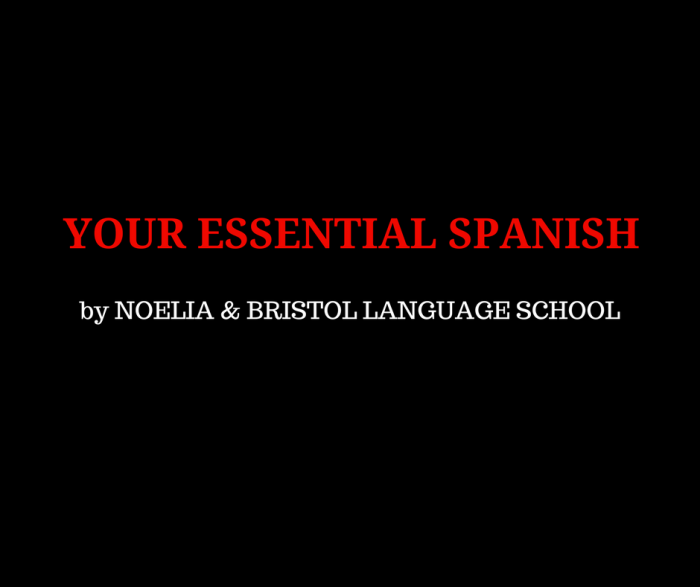 Learning a language -- useful phrases in Spanish 2
