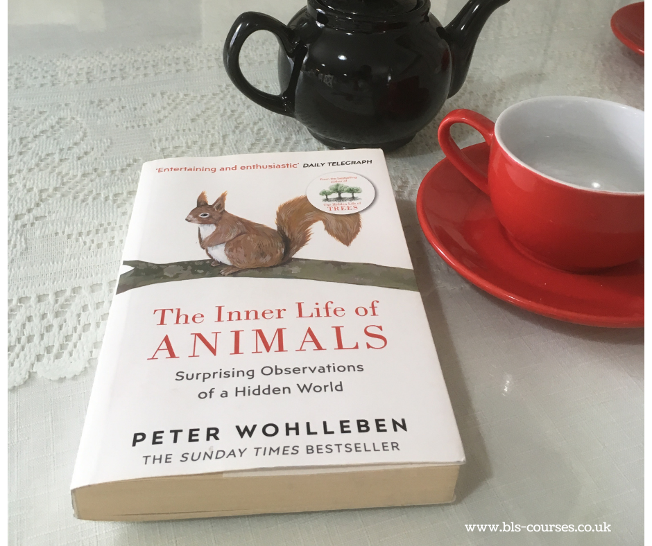 Book review: The Inner Life of Animals by Peter Wohlleben - Bristol  Language School